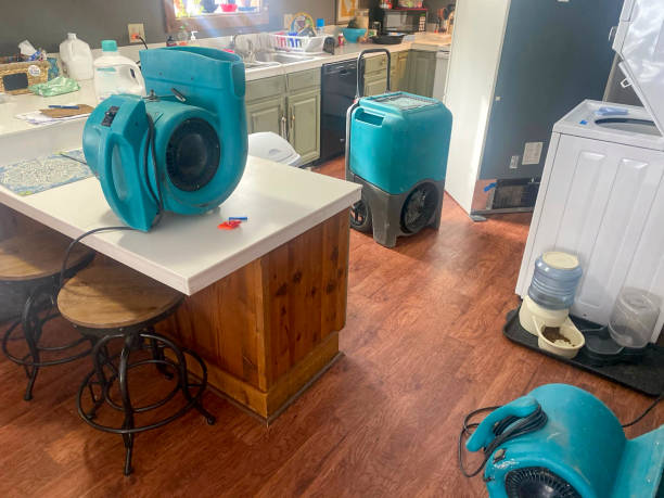 Best 24-hour water damage restoration  in Hart, MI