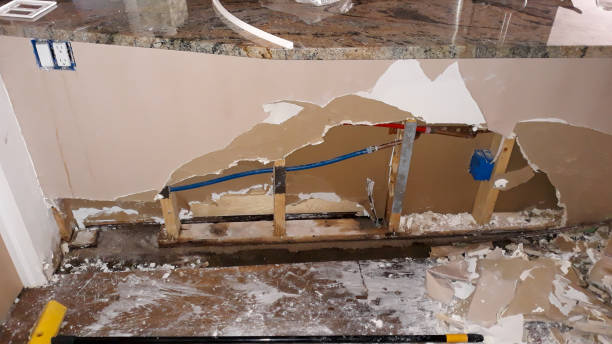  Hart, MI Water damage restoration Pros