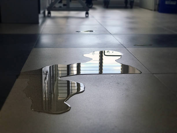 Best 24/7 water damage repair  in Hart, MI