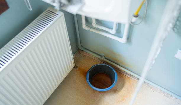Best Ceiling water damage repair  in Hart, MI