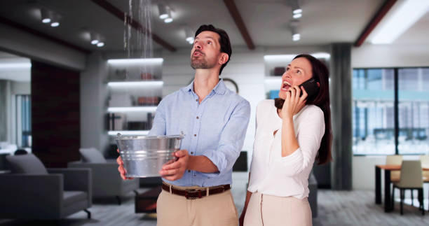 Best Residential water damage restoration  in Hart, MI