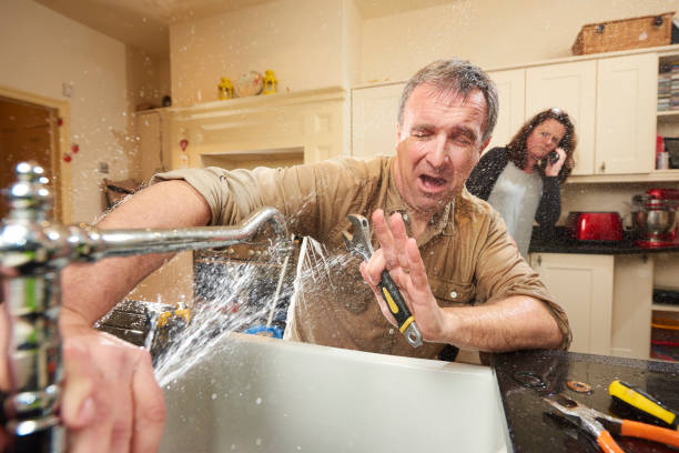 Best Professional water damage repair  in Hart, MI